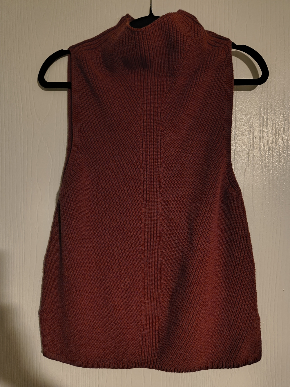 Max Studio Sleeveless Knit Tank in Rust Brown